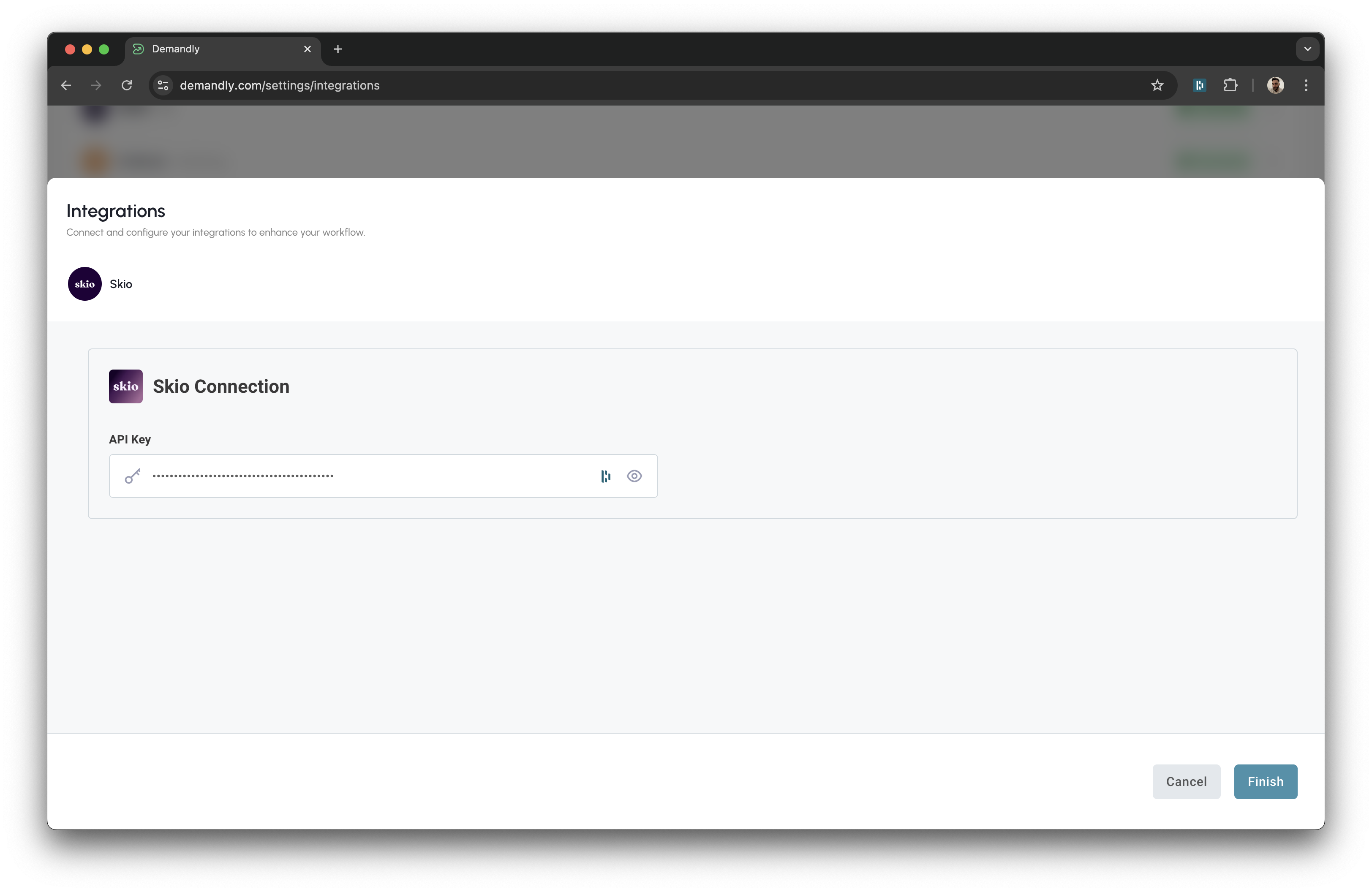 Skio paste API key in Demandly