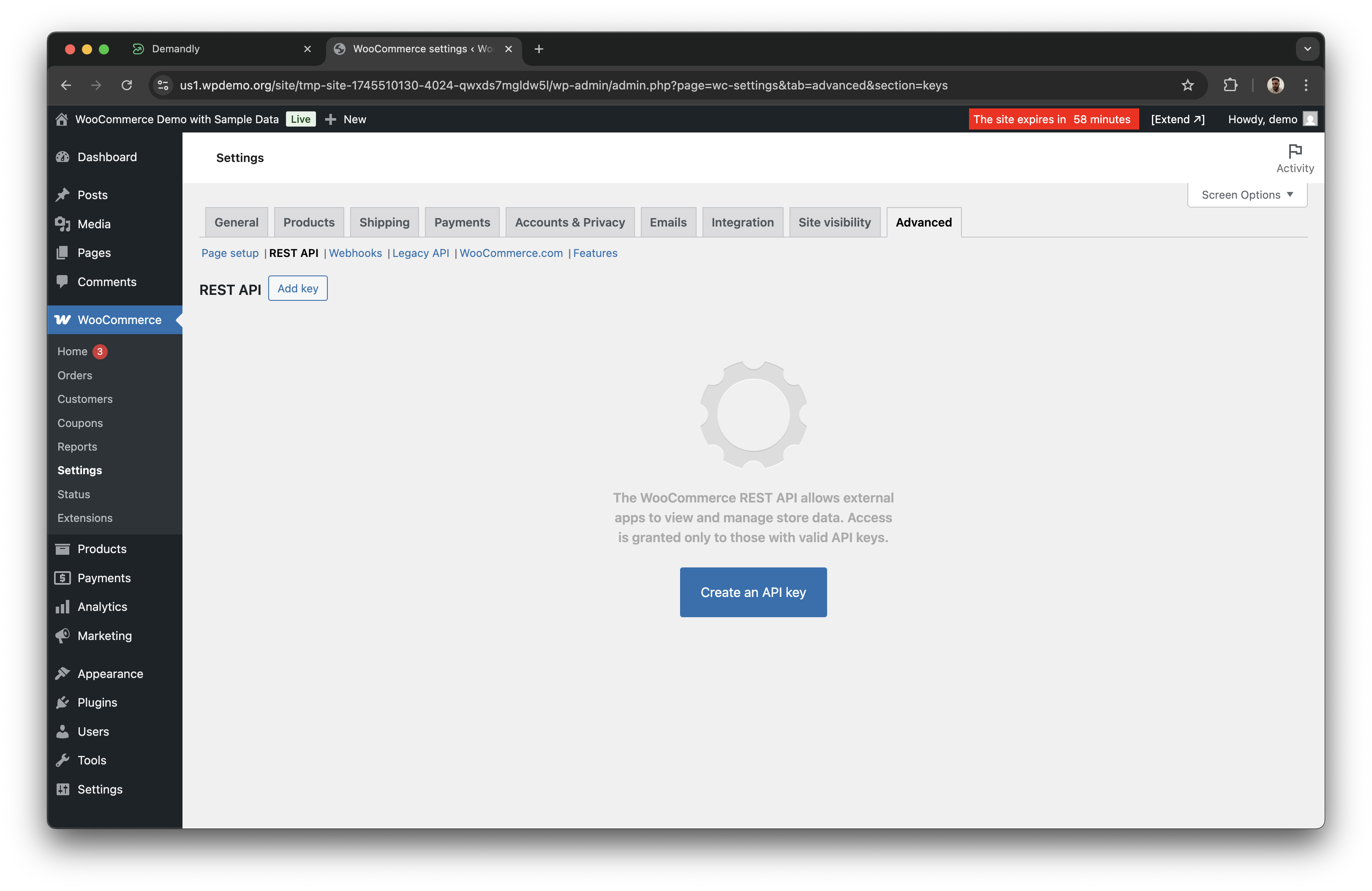 WooCommerce API section